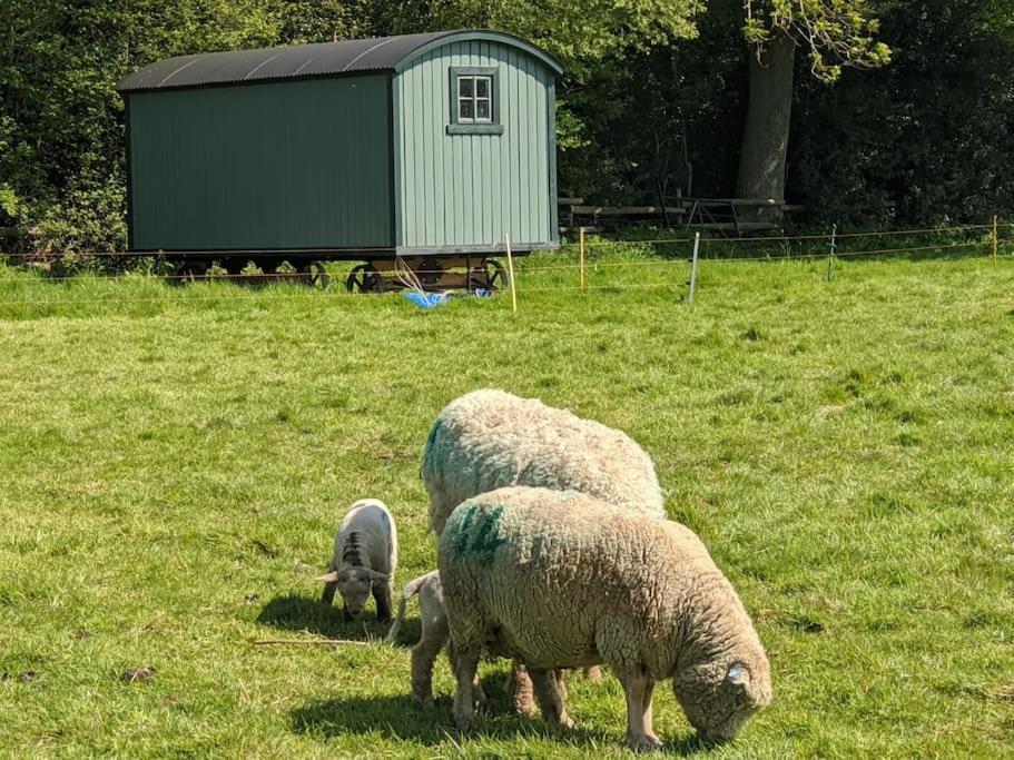 Villa The Piggery Cowfold Exterior foto